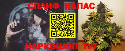 соль ск Бийск