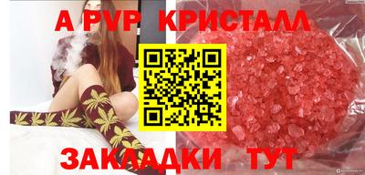 индика Беслан